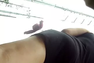 A csinos barna Adria Rae kikapja hasra elvezes a seggét, és élvezi a castingot