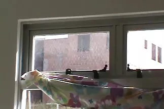 Egy szemüveges lány elcsábított egy göndör hajú srácot, és amatőr szex neki adta magát a hálószobában.