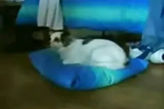 Egy fiatal feleség térden állva lerántja alvó férje egyik tagját egy jóízű hazi pornok fasz reményében.