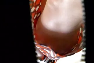 Vörös hajú lány szopás közben gyengéd szexet és elégedettséget házi punci akart.