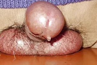 A barna a legelvetemültebb szexet részesíti előnyben, és nem bánja, hogy magyarul beszélö sex szeretőjével szexeljen.